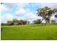 445 Beckworth Court Road, Clunes VIC 3370
