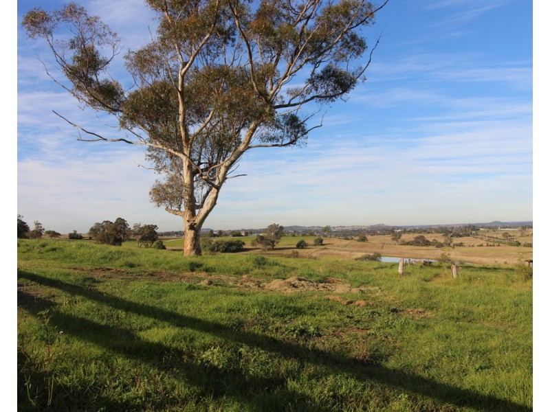 201 The Old Oaks Road, Grasmere NSW 2570