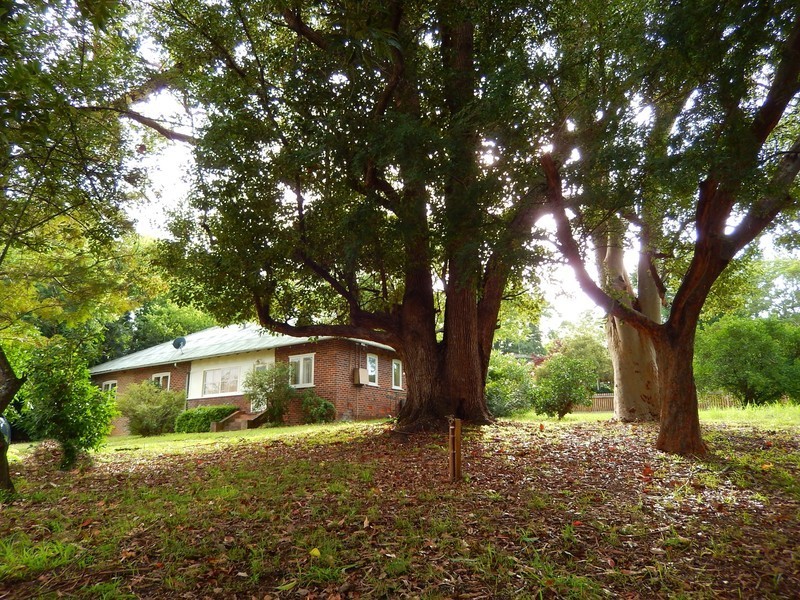 5 River Road, Elderslie NSW 2570