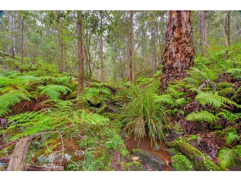 76 Halliday Road, Oakdale NSW 2570