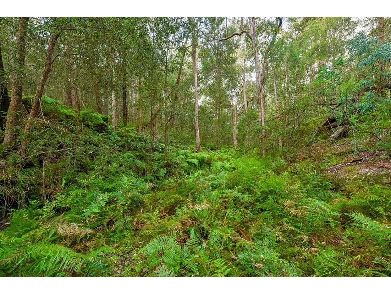 76 Halliday Road, Oakdale NSW 2570