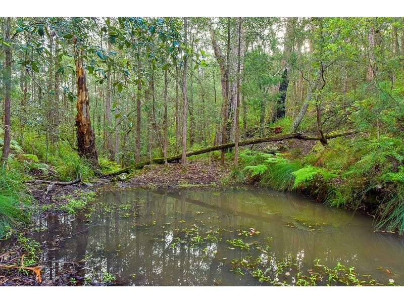 76 Halliday Road, Oakdale NSW 2570
