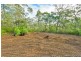76 Halliday Road, Oakdale NSW 2570