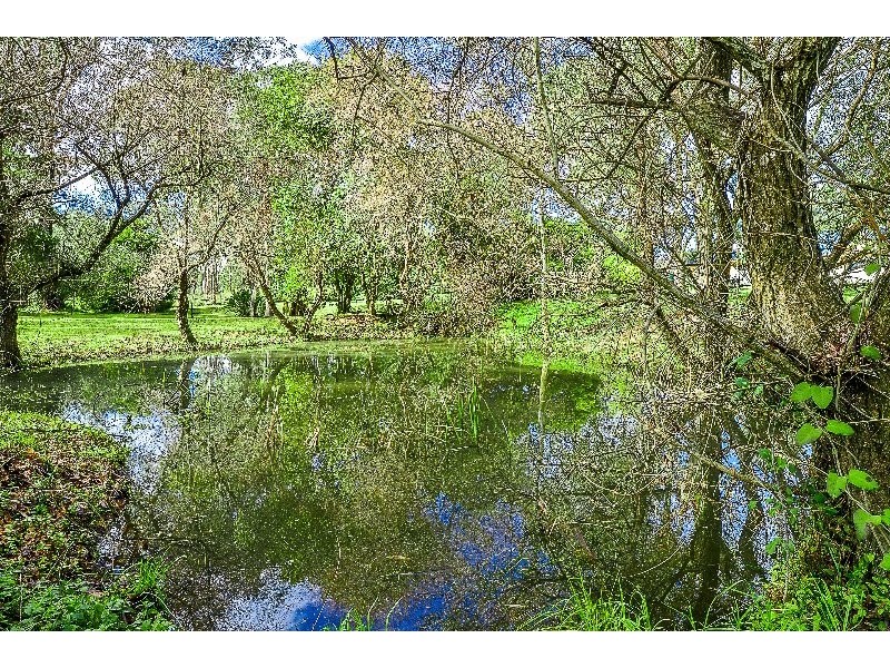 74 Gregory Road, Leppington NSW 2179