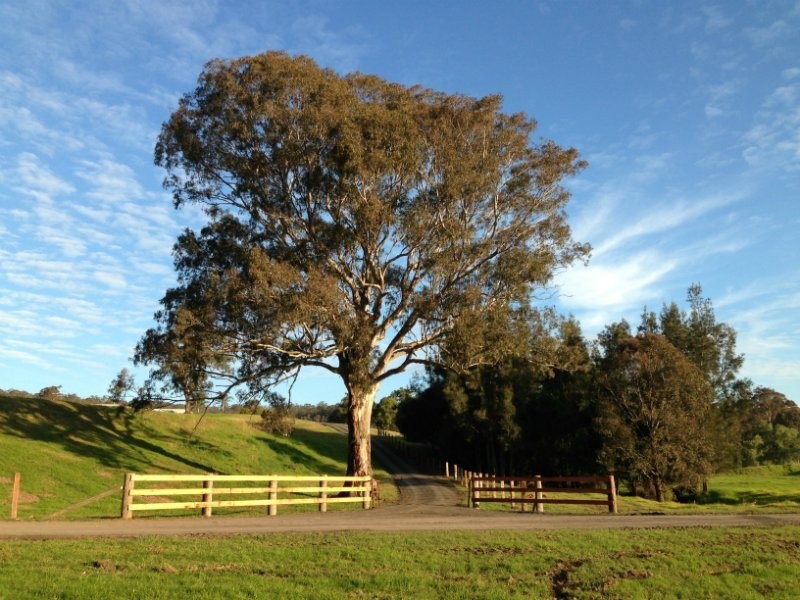 455 Old Razorback Road, Cawdor NSW 2570