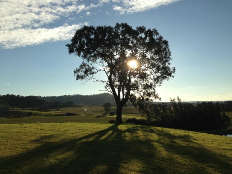 455 Old Razorback Road, Cawdor NSW 2570