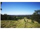70 Nectarbrook Drive, Theresa Park NSW 2570