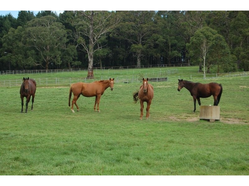 106 Greenhills Road, Werai NSW 2577