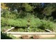 106 Greenhills Road, Werai NSW 2577