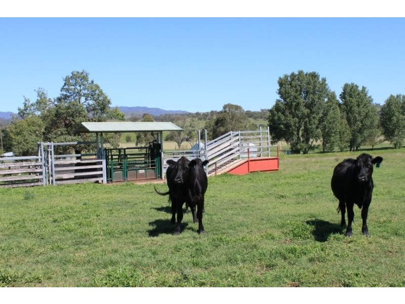 1 Riverbend Waverley Road, Scone NSW 2337