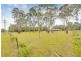 100 Douglas Park Road, Wilton NSW 2571