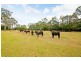 100 Douglas Park Road, Wilton NSW 2571