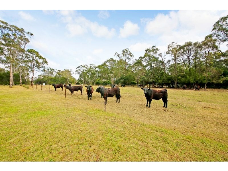 100 Douglas Park Road, Wilton NSW 2571