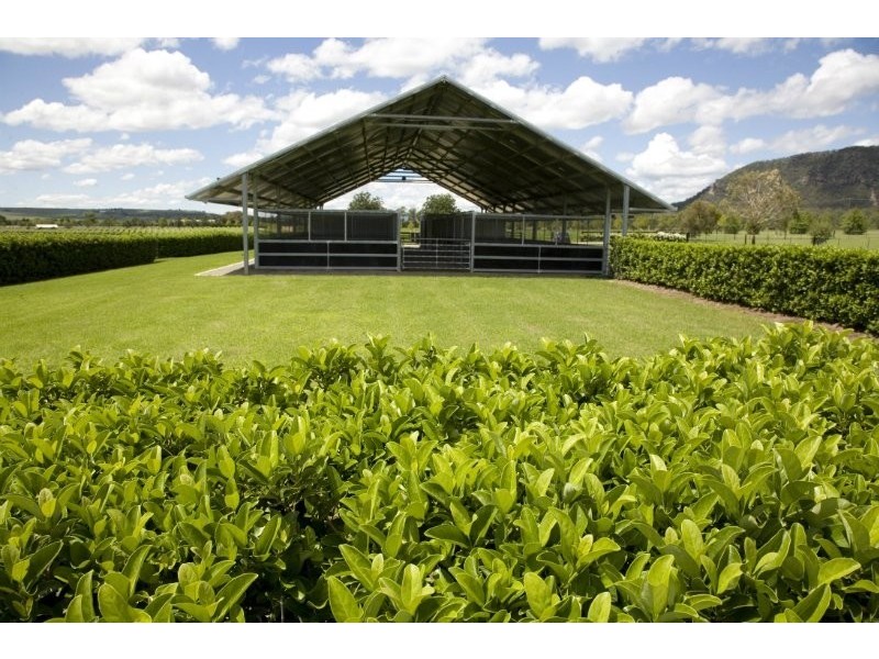 2529 Putty Road, Milbrodale NSW 2330