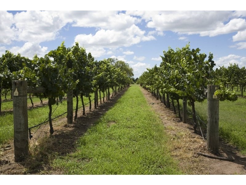 2529 Putty Road, Milbrodale NSW 2330