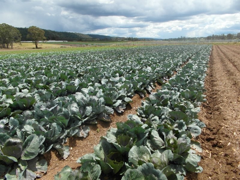 605 Bents Basin Road, Wallacia NSW 2745