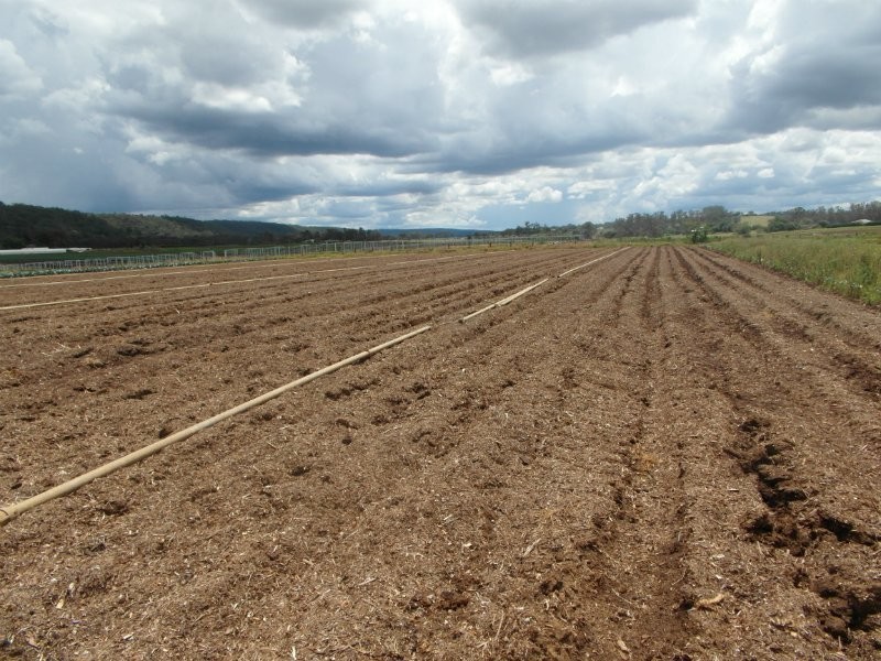 605 Bents Basin Road, Wallacia NSW 2745