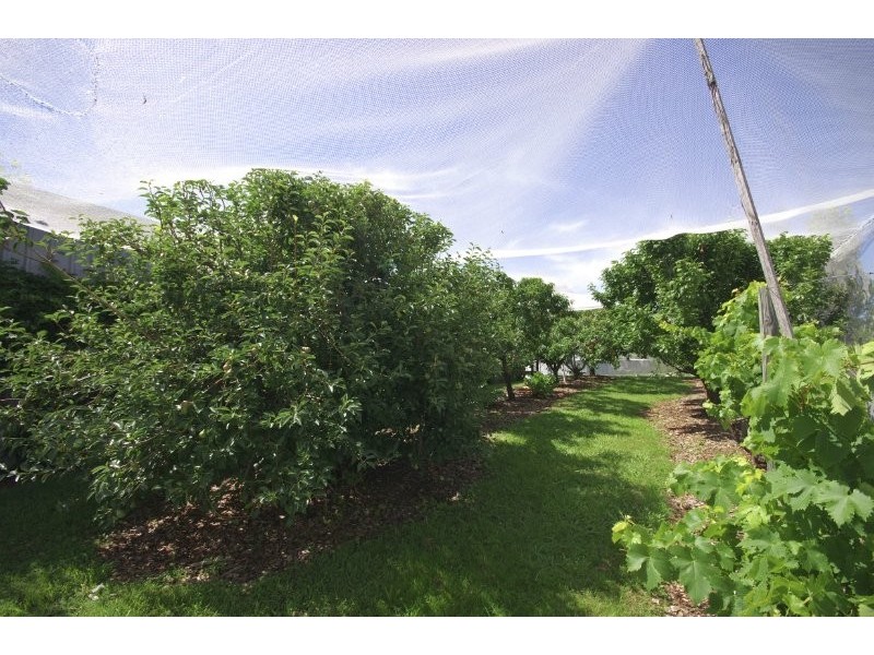 1345 Werombi Road, Werombi NSW 2570