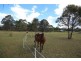 210 Moreton Park Road, Douglas Park NSW 2569