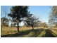 35 BURRAGORANG ROAD, Camden NSW 2570