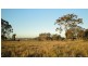 35 BURRAGORANG ROAD, Camden NSW 2570