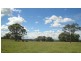 35 BURRAGORANG ROAD, Camden NSW 2570