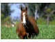 815 Stratheden Manilla Road, Tamworth NSW 2340