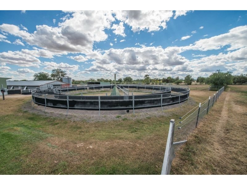 815 Stratheden Manilla Road, Tamworth NSW 2340