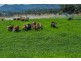 815 Stratheden Manilla Road, Tamworth NSW 2340