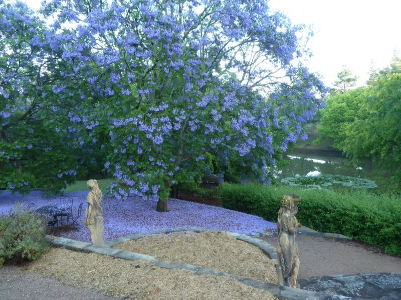 515 Spring Creek Road, Mount Hunter NSW 2570