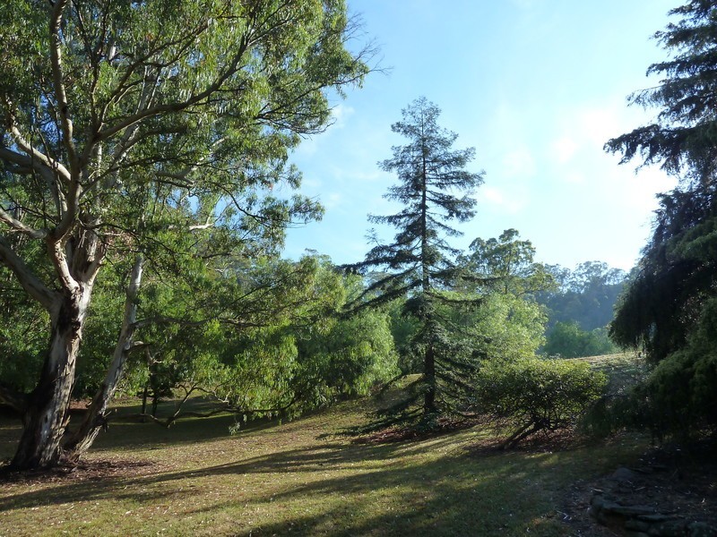 515 Spring Creek Road, Mount Hunter NSW 2570