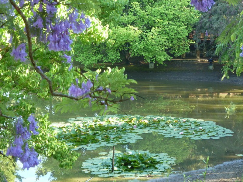 515 Spring Creek Road, Mount Hunter NSW 2570