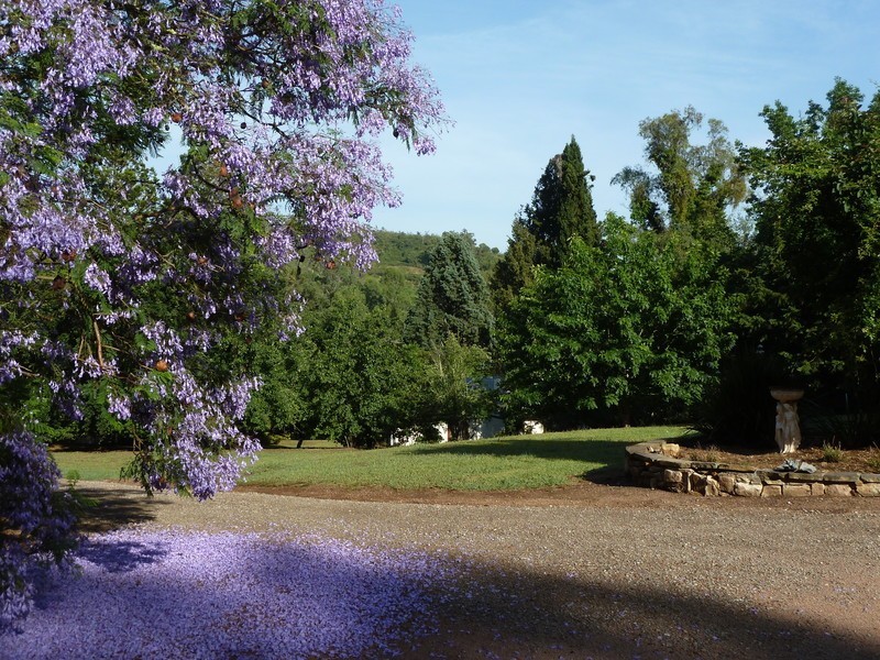 515 Spring Creek Road, Mount Hunter NSW 2570