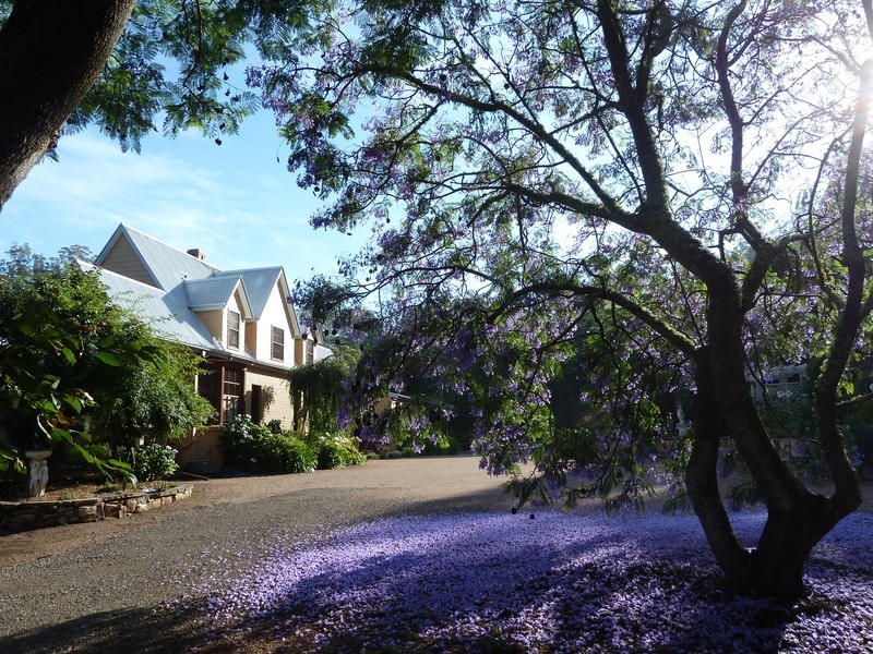 515 Spring Creek Road, Mount Hunter NSW 2570