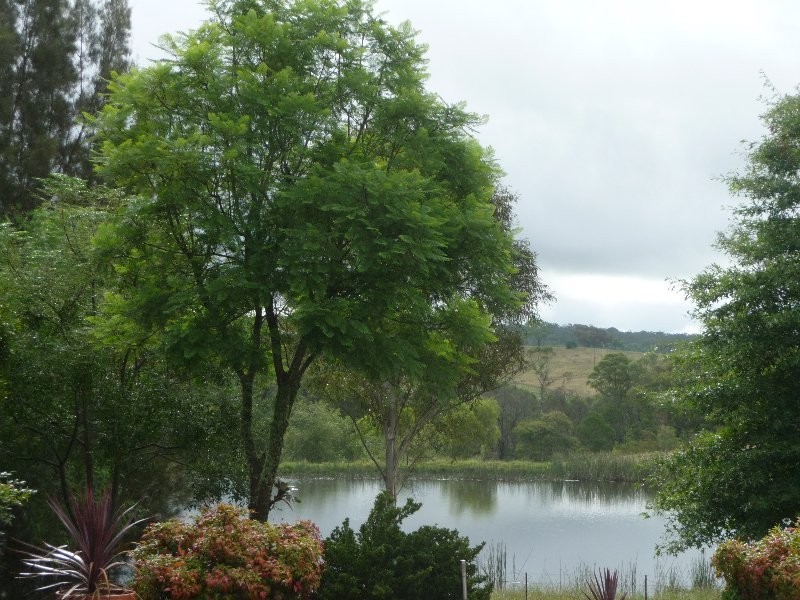 645 Montpelier Drive, The Oaks NSW 2570