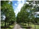 645 Montpelier Drive, The Oaks NSW 2570