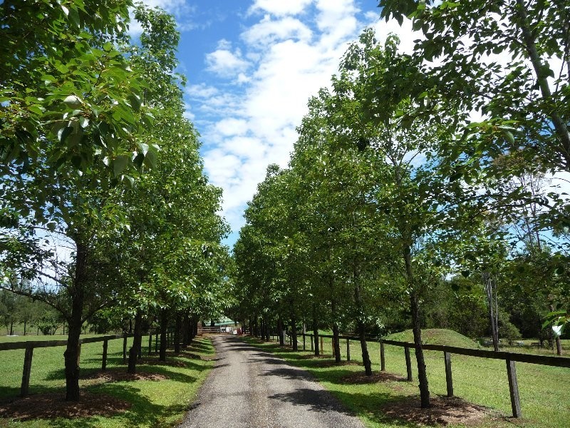 645 Montpelier Drive, The Oaks NSW 2570