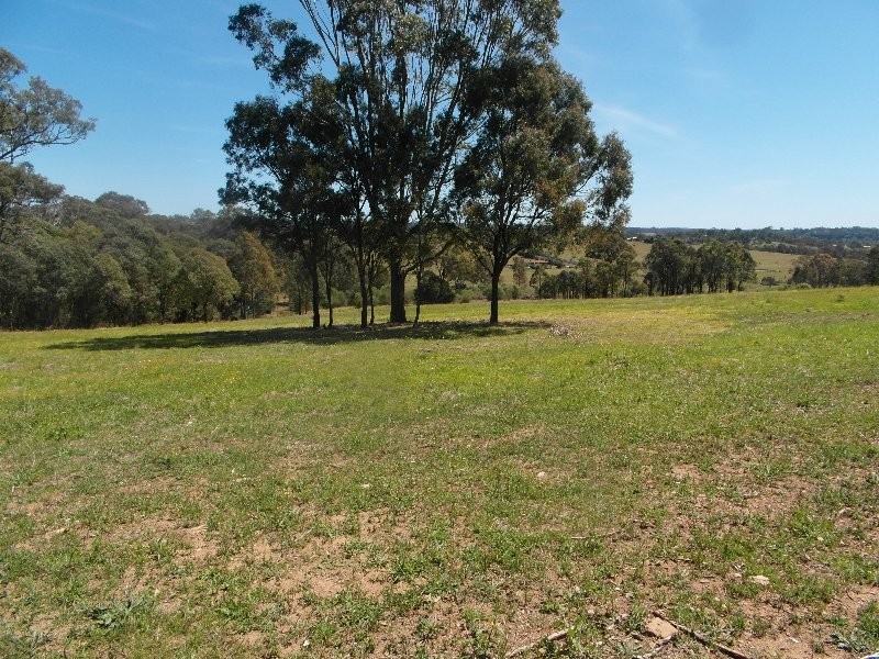 495 (Lot 501) Bobs Range Road, Orangeville NSW 2570