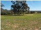 495 (Lot 502) Bobs Range Road, Orangeville NSW 2570