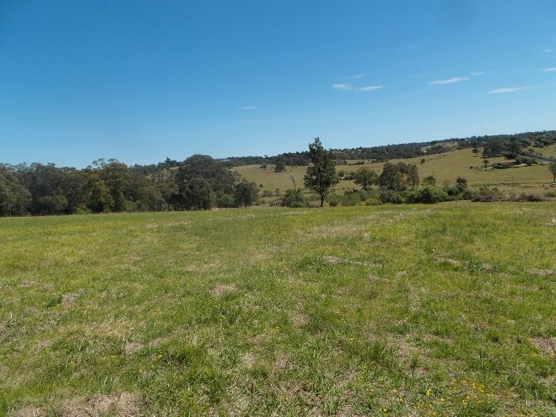 495 (Lot 502) Bobs Range Road, Orangeville NSW 2570