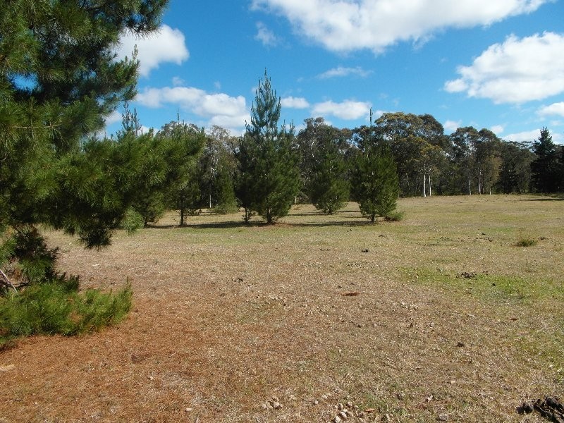 25 Sandy Lane, Thirlmere NSW 2572