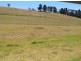 20 Burrells Road, Menangle NSW 2568