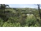105 Glendiver Road, The Oaks NSW 2570