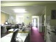5 Broughton Street, Camden NSW 2570