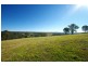 Lot 501 Bobs Range Road, Orangeville NSW 2570