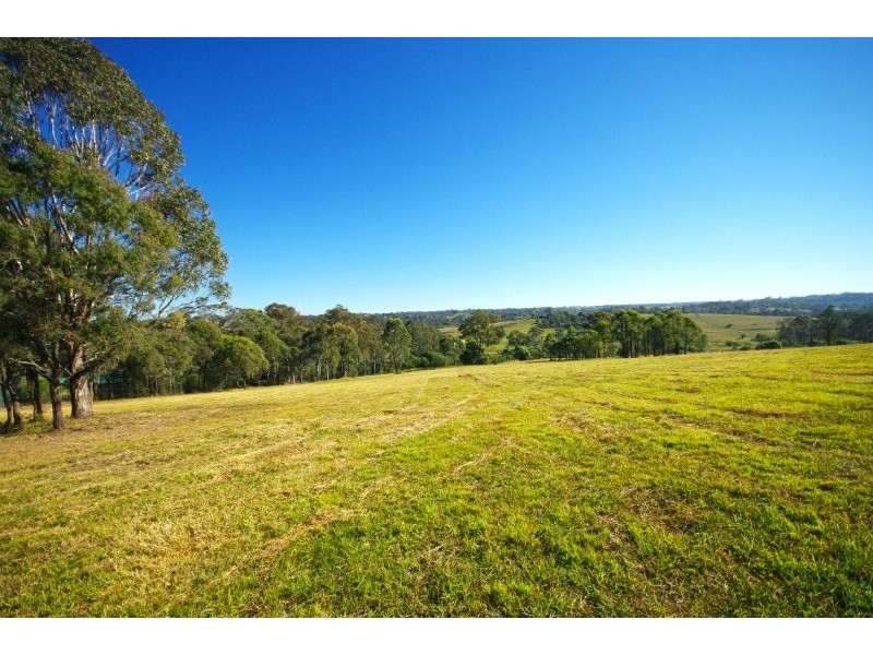 Lot 501 Bobs Range Road, Orangeville NSW 2570