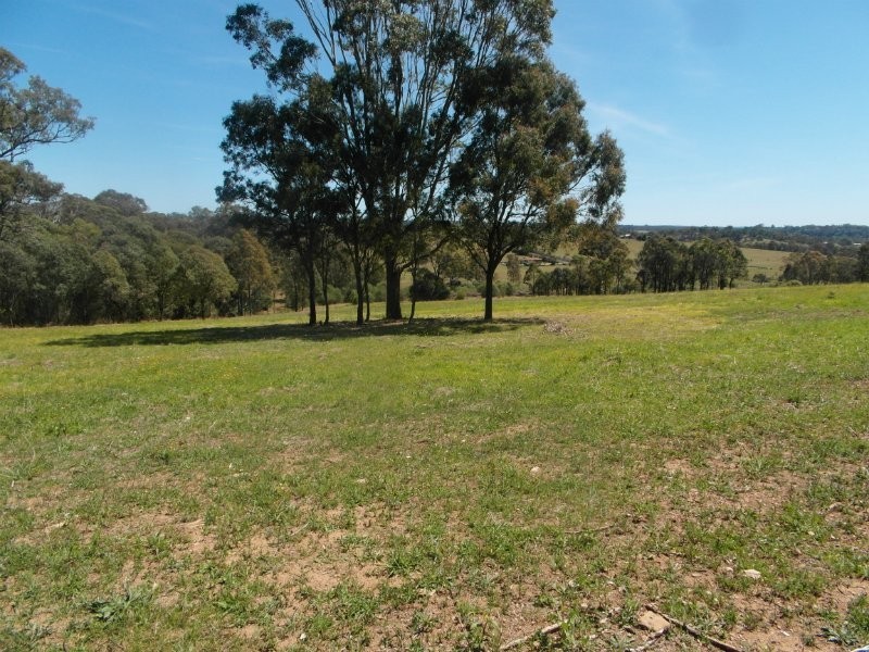 Lot 502 Bobs Range Road, Orangeville NSW 2570
