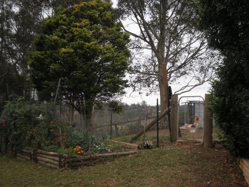 66 Frankum Drive, Orangeville NSW 2570