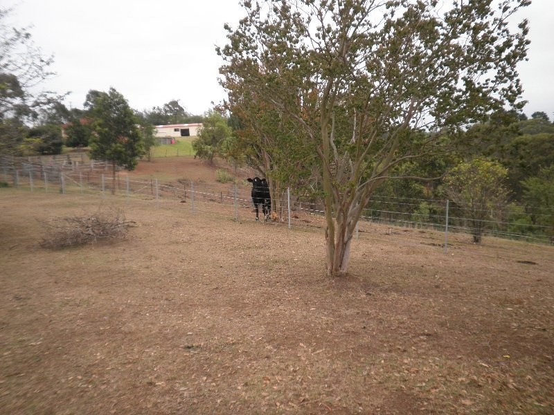 66 Frankum Drive, Orangeville NSW 2570