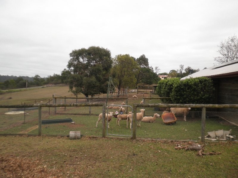 66 Frankum Drive, Orangeville NSW 2570